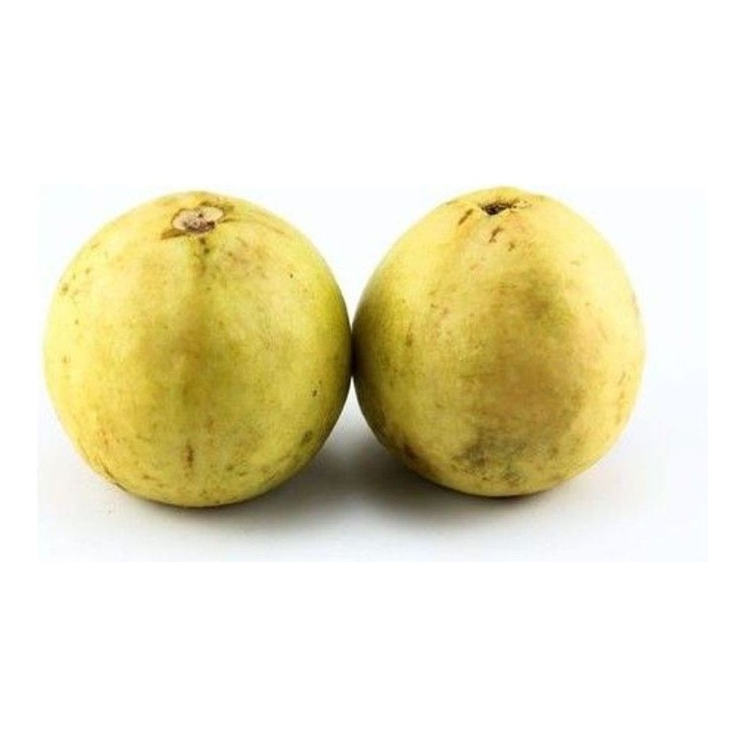 guayaba kg
